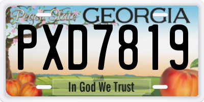 GA license plate PXD7819