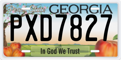 GA license plate PXD7827