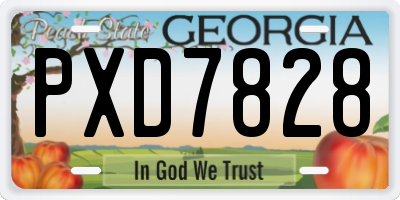 GA license plate PXD7828