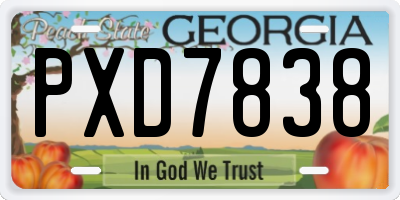 GA license plate PXD7838
