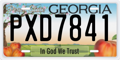 GA license plate PXD7841