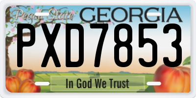 GA license plate PXD7853