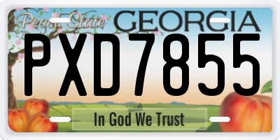 GA license plate PXD7855