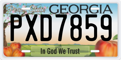 GA license plate PXD7859
