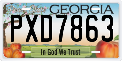 GA license plate PXD7863