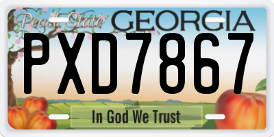 GA license plate PXD7867