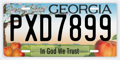 GA license plate PXD7899
