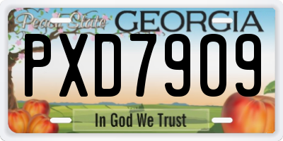 GA license plate PXD7909