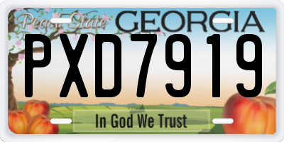 GA license plate PXD7919