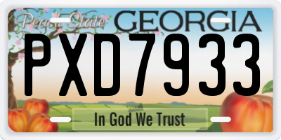 GA license plate PXD7933