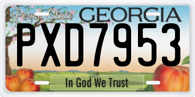 GA license plate PXD7953