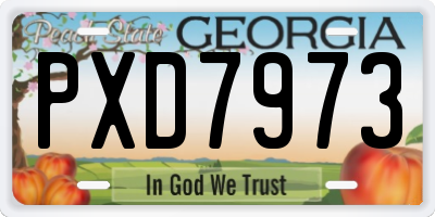 GA license plate PXD7973