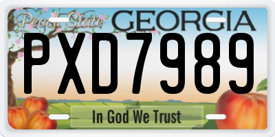 GA license plate PXD7989