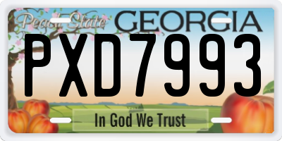 GA license plate PXD7993