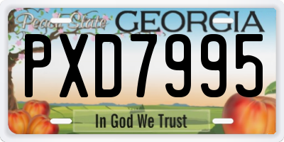 GA license plate PXD7995