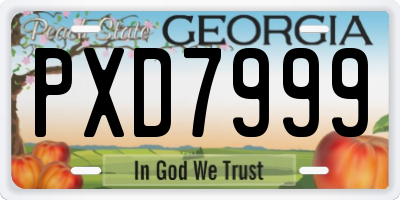 GA license plate PXD7999