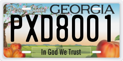 GA license plate PXD8001