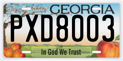 GA license plate PXD8003