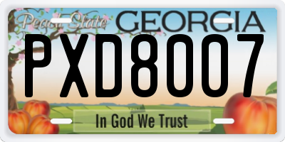 GA license plate PXD8007
