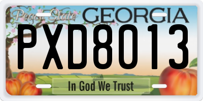 GA license plate PXD8013