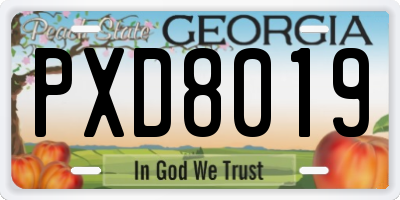 GA license plate PXD8019