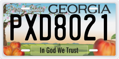 GA license plate PXD8021