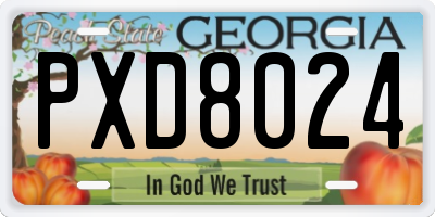 GA license plate PXD8024