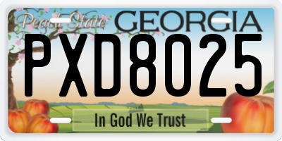 GA license plate PXD8025
