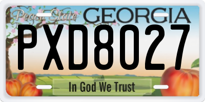 GA license plate PXD8027
