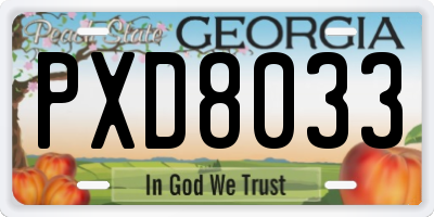 GA license plate PXD8033