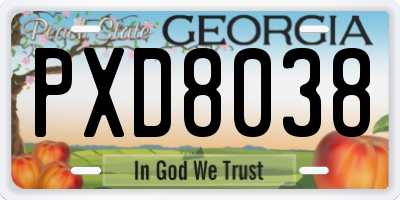 GA license plate PXD8038