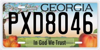 GA license plate PXD8046