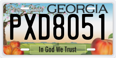 GA license plate PXD8051