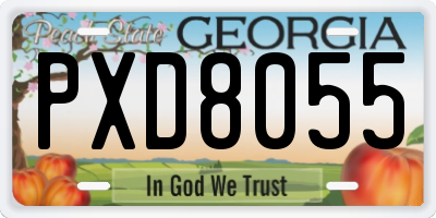 GA license plate PXD8055
