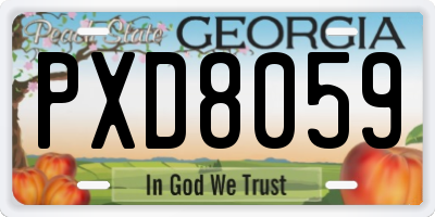 GA license plate PXD8059