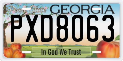 GA license plate PXD8063