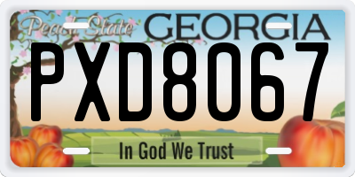 GA license plate PXD8067