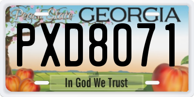 GA license plate PXD8071