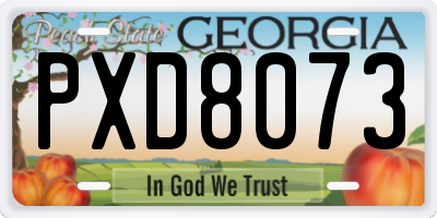 GA license plate PXD8073