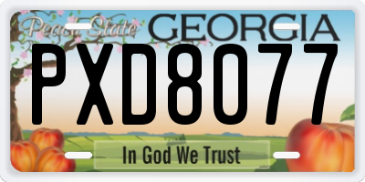GA license plate PXD8077