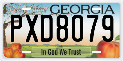GA license plate PXD8079