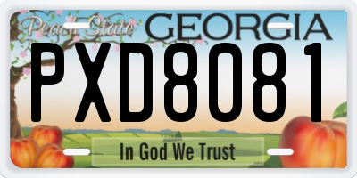 GA license plate PXD8081