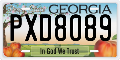 GA license plate PXD8089
