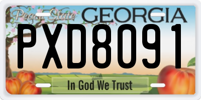 GA license plate PXD8091