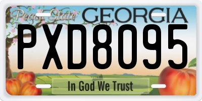 GA license plate PXD8095