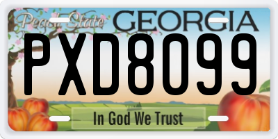 GA license plate PXD8099