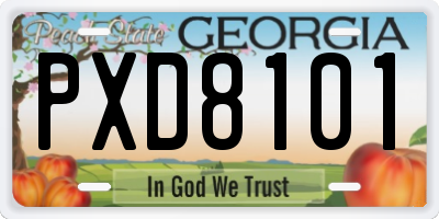 GA license plate PXD8101
