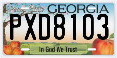 GA license plate PXD8103