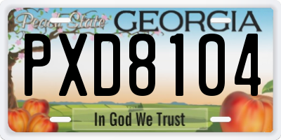 GA license plate PXD8104