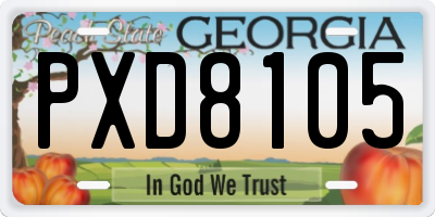 GA license plate PXD8105